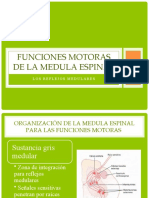 Funciones motoras de la medula espinal.pptx