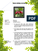 A11, POKOK AJAIB.pdf