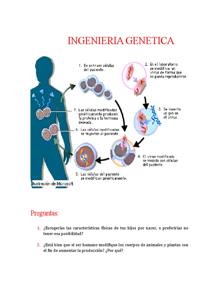 Aula 6 -Tecnologia do DNA recombinante, image size:768x1024
