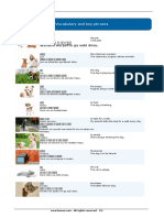 Pets - Busuu PDF