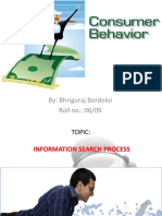 Info Search Process