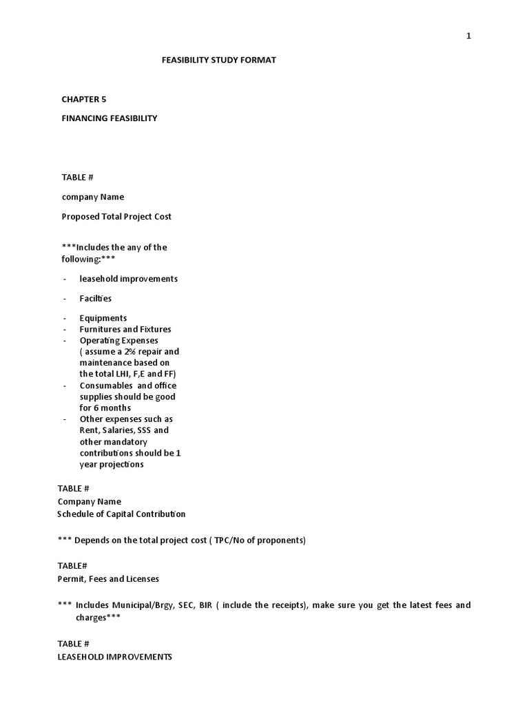 Financial Feasibility Study Template | PDF | Depreciation | Financial ...