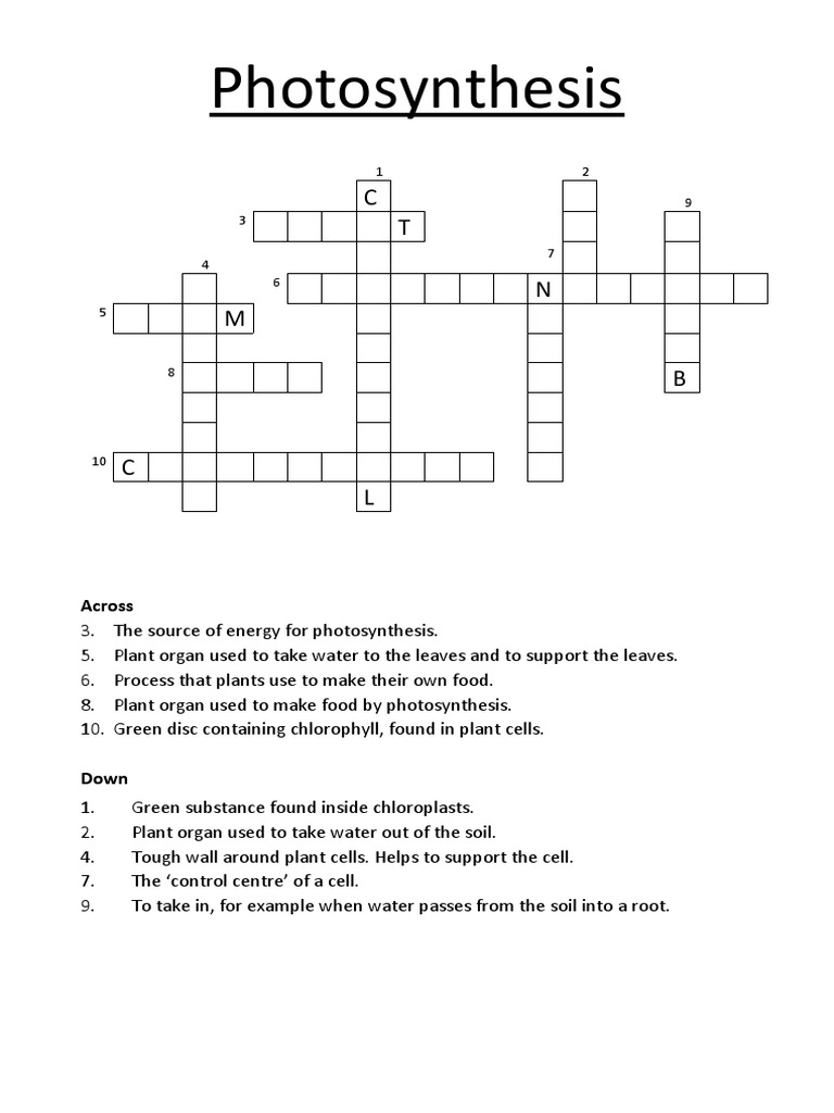Photosynthesis Crossword | PDF