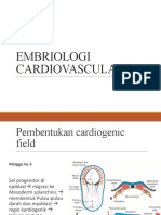 Embriologi Kardiovascular