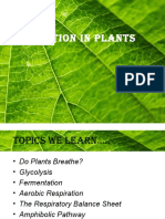 Respiration in Plants