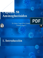 Capítulo 58 Aminoglucósidos