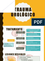 Trauma Urológico