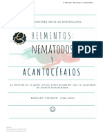 Nematodos y Acantocéfalos - Apuntes PDF