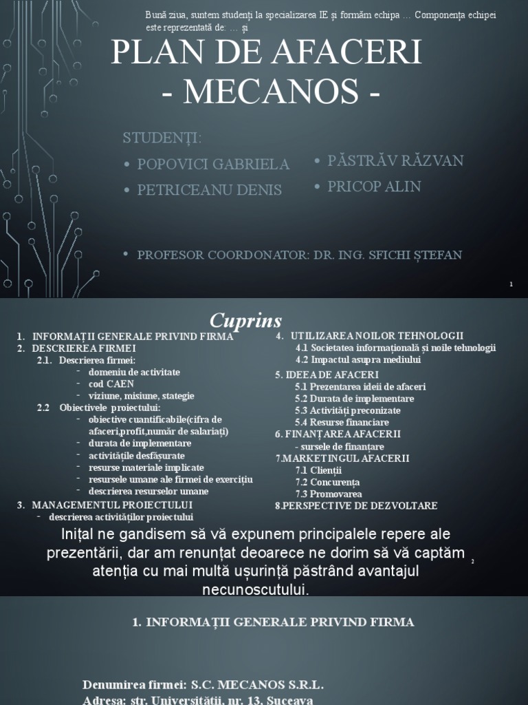 Plan de Afaceri | PDF