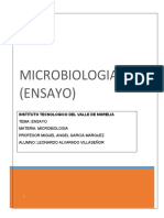 Microbiologia Ensayo