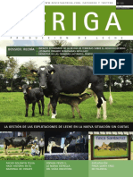 Afriga125 Recria PDF