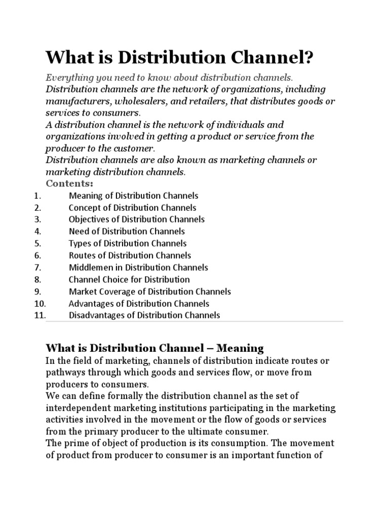 Distribution Channel PDF Retail Sales