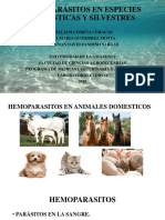HEMOPARASITOS ANIMALES DOMESTICOS, AVES MAMIFEROS Y REPTILES F.S