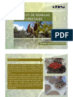 Manejo de Semillas Forestales