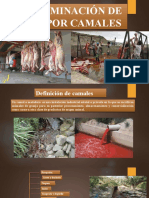 369489659-Contaminacion-de-Aguas-Por-Camales (1)