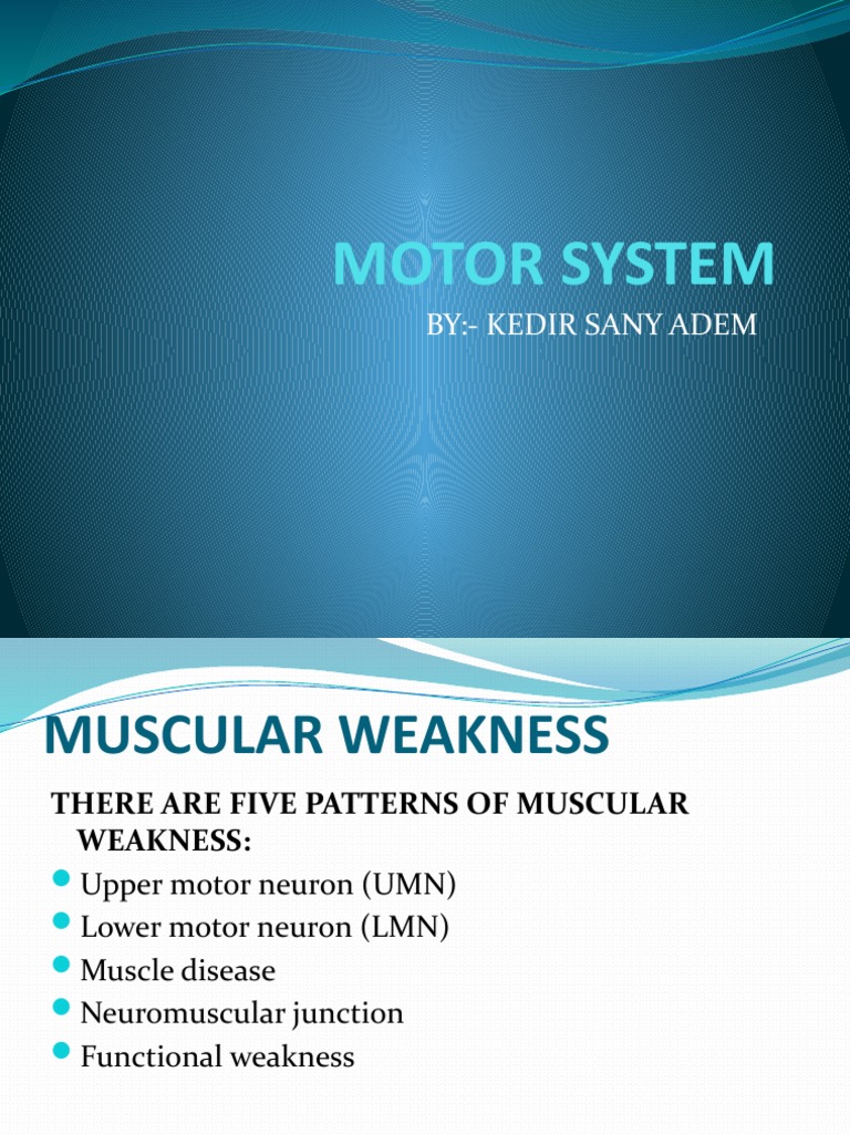 Motor Examination and Grading Guide | PDF | Foot | Muscle