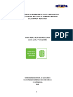 2.00 Sistematizacion de La Informacion de Costos y Presupuestos Del Proyecto Sistema Integrado de Transporte Masivo de Bucaramanga - Metrolinea PDF