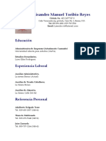 Curriculum Lisandro Toribio00.doc