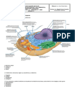 Biología 9 PDF