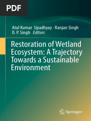 Restauracion Del Ecosistema De Humedales Pdf Swamp Wetland