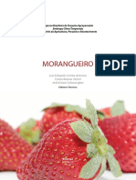 Luis-Eduardo-MORANGUEIRO-miolo.pdf