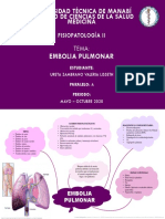 Embolia Pulmonar: Causas, Signos y Diagnóstico