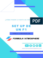 Guía Sobre Como Poner A Punto Un F1.01 PDF