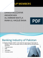 Pakistan's Banking Industry and Consumer Financing Sectors