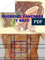 Anatomía Del Duodeno, Páncreas y Bazo 2018