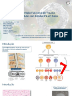 V2 Semana Acadêmica iPS + TRM