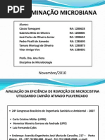 contaminacao microbiana