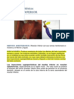 Técnica Del Dentario Inferior y Bucal Largo PDF