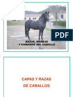 razas_manejo_y_cuidados_del_caballo (1).pdf