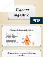 Sistema Digestivo