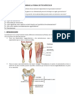 CAMBIAR-LA-FORMA-DE-TUS-MÚSCULOS.pdf