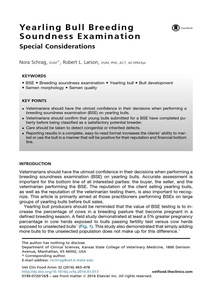 Yearling Bull Breeding Soundness Exam | PDF | Cattle | Testicle