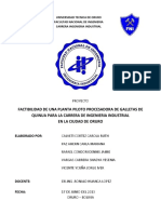 Proyecto Jorge Iver PDF
