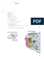 Alex Lect4 MapsInYourBrain 17oct2019