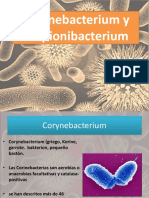 Corynebacterium y Propionibacterium: causantes de difteria y acné