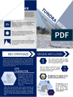 SSED, Brochure Tundra Eco.pptx