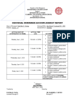 Individual Workweek Accomplishment Report