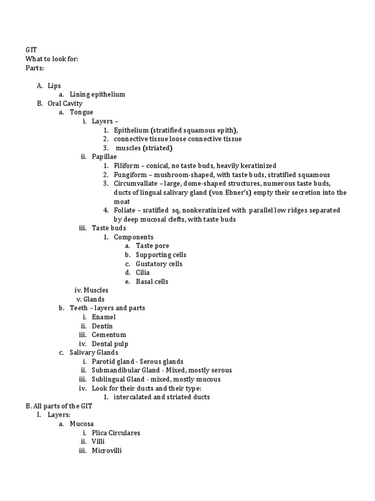 Anatomy of the Gastrointestinal Tract | PDF | Stomach ...