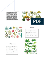 Plant Adaptions