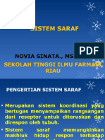 SISTEM SARAF DASAR