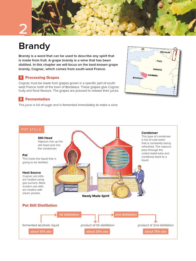 Brandy Processing Grapes PDF Brandy Distillation