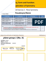 Field Exercise 2 - Plane Symmetry - Template - January 2015