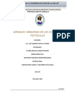 Gonadas PDF