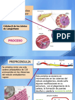 Insulina CLL