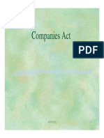 Company Act PDF