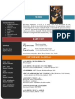 Curriculum-Vitae Diego A. Fuertes